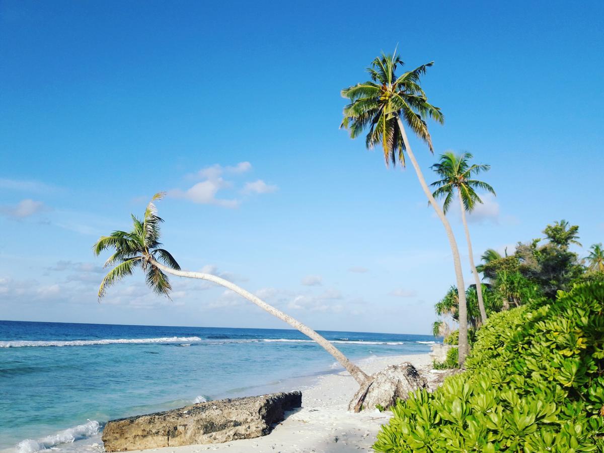 Charming Holiday Lodge Addu City Exterior photo